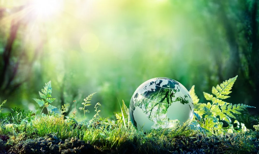 AP Environmental Science Course Overview