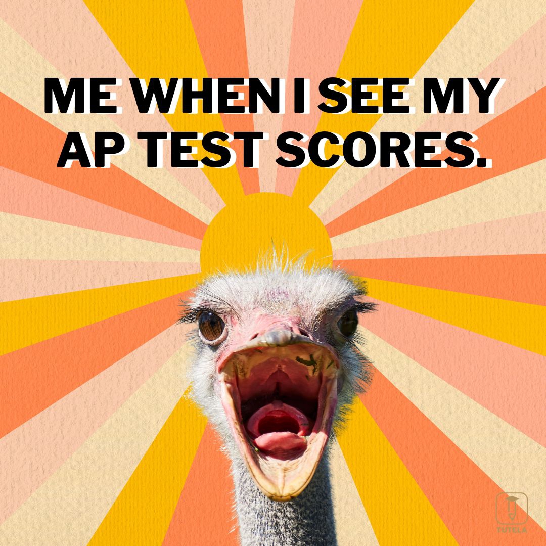 Reactions after getting good scores in AP Tests