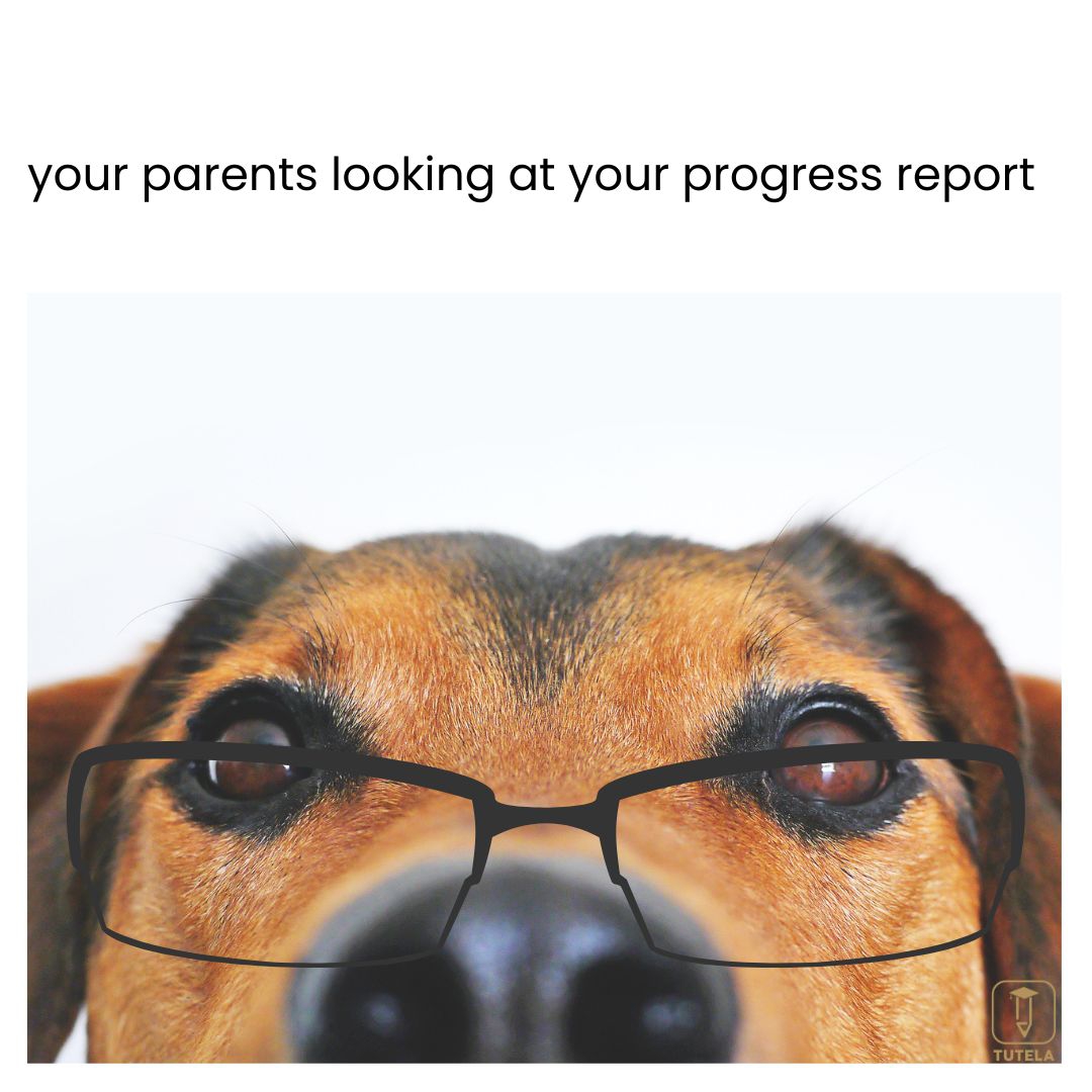 Parents reaction on students progress report